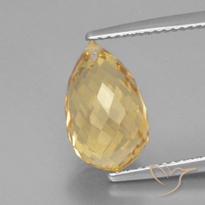 5.49ct Natural ouro brilhante Citrino, Briolette, VVS