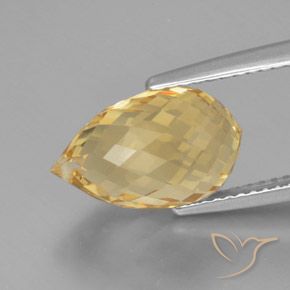 Citrino ouro brilhante Natural 5.49ct, Briolette, VVS