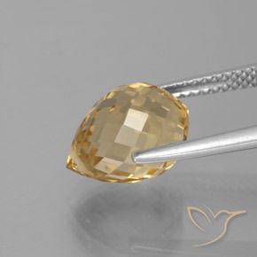 Citrino Dourado Natural 4.38ct, Briolette, VVS