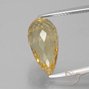 6.05ct Natural Ouro Citrino, Briolette, VVS-VS