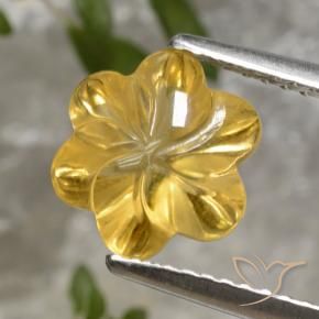 Citrino Dourado Natural 2.35ct, Flor cortada, Transparente