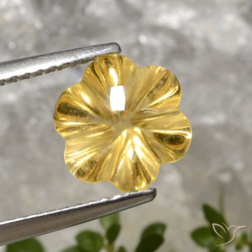 2.78ct Natural ouro profundo Citrino, Flor cortada, Transparente