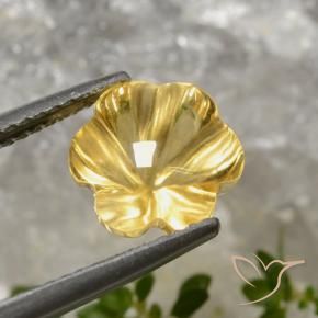 Citrino ouro profundo Natural 2.78ct, Flor cortada, Transparente