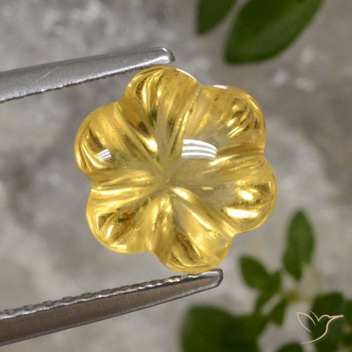 2.69ct Natural Dourado Citrino, Flor cortada, Transparente