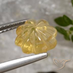 Citrino ouro médio Natural 2.00ct, Flor cortada, Transparente