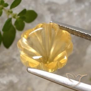 Citrino ouro médio Natural 3.39ct, Flor cortada, Transparente
