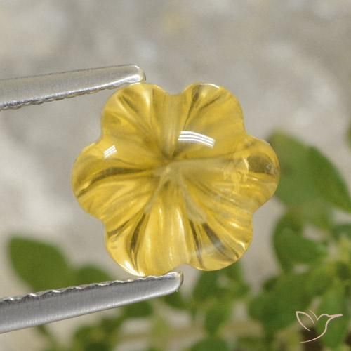 2.20ct Natural Amarelo Toscana Citrino, Flor cortada, Transparente