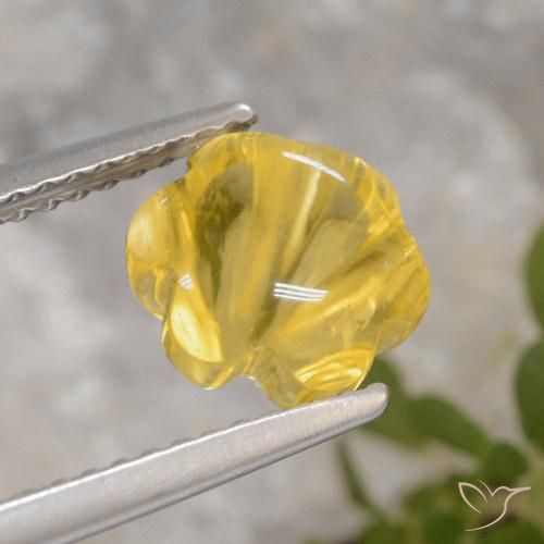 Citrino Amarelo Toscana Natural 2.20ct, Flor cortada, Transparente