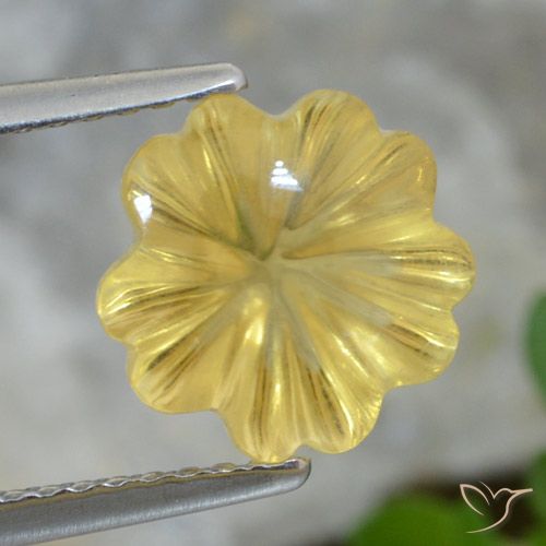 3.07ct Natural Luz amarela Citrino, Flor cortada, Transparente