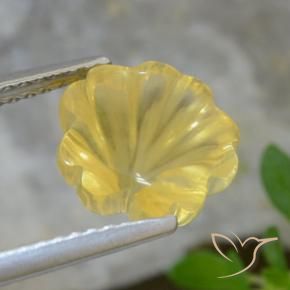 Citrino Luz amarela Natural 3.07ct, Flor cortada, Transparente