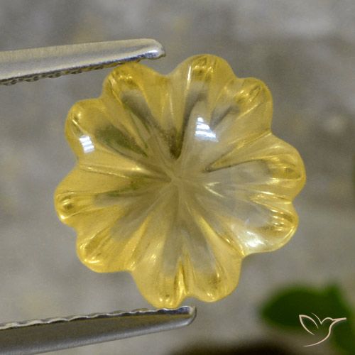2.53ct Natural amarelo médio Citrino, Flor cortada, Transparente