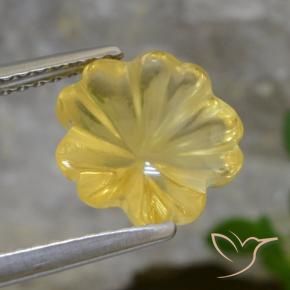 Citrino amarelo médio Natural 2.53ct, Flor cortada, Transparente