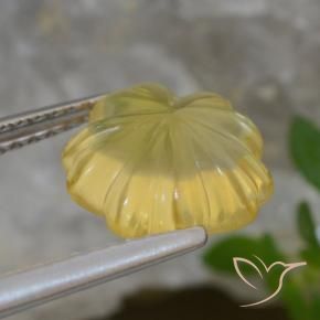 Citrino amarelo médio Natural 2.53ct, Flor cortada, Transparente