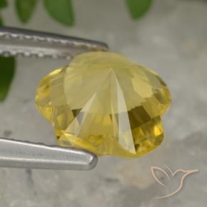 Citrino amarelo médio Natural 1.63ct, Flor cortada, Transparente
