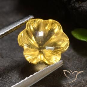 Citrino ouro brilhante Natural 1.96ct, Flor cortada, Transparente