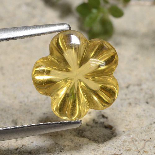 2.65ct Natural Dourado Citrino, Flor cortada, Transparente