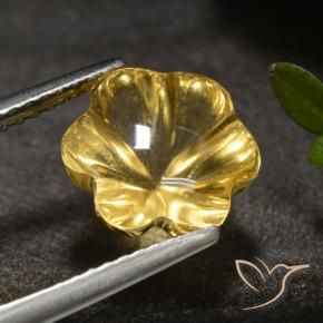 Citrino Amarelo escuro Natural 3.27ct, Flor cortada, Transparente