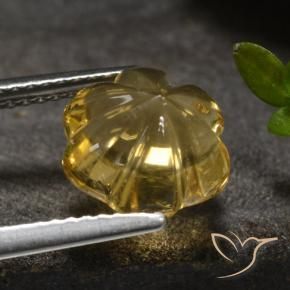 Citrino Amarelo escuro Natural 3.27ct, Flor cortada, Transparente