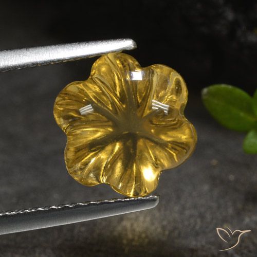 3.20ct Natural Dourado-Laranja Citrino, Flor cortada, Transparente