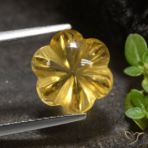 3.34ct Natural Dourado médio Citrino, Flor cortada, Transparente