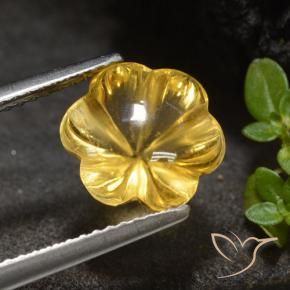 Citrino Dourado médio Natural 3.34ct, Flor cortada, Transparente