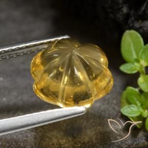 Citrino Dourado médio Natural 3.34ct, Flor cortada, Transparente