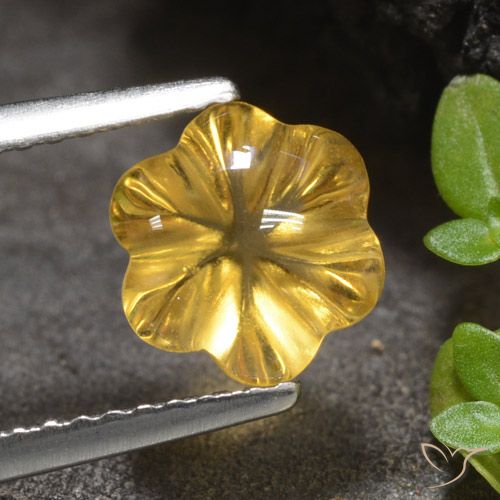1.66ct Natural Dourado médio Citrino, Flor cortada, Transparente
