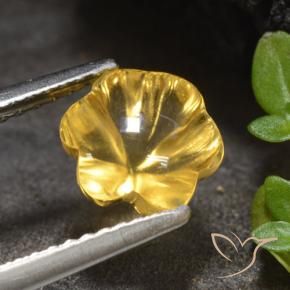 Citrino Dourado médio Natural 1.66ct, Flor cortada, Transparente