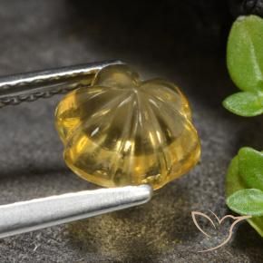 Citrino Dourado médio Natural 1.66ct, Flor cortada, Transparente