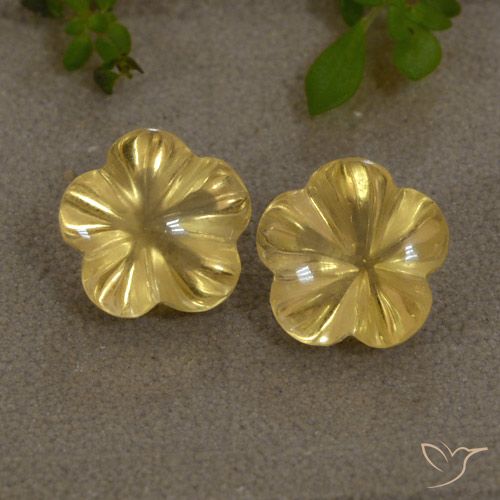 4.27ctw Natural Amarelo Dourado Claro Citrino, Flor cortada, Transparente