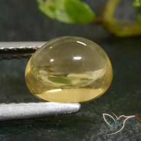 Citrino Luz Dourada Natural 1.76ct, oval, Transparente