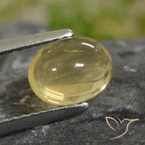 Citrino Amarelo Dourado Claro Natural 1.59ct, oval, Transparente