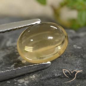 Citrino Luz Dourada Natural 1.47ct, oval, Transparente