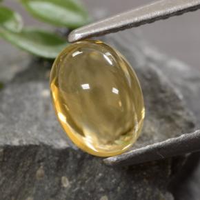 Citrino dourado natural 1,07ct, corte oval, transparente