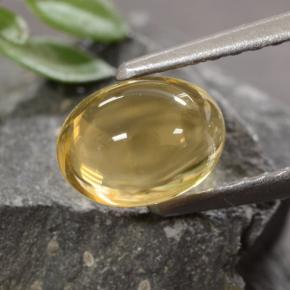 Citrino dourado natural 1,07ct, corte oval, transparente