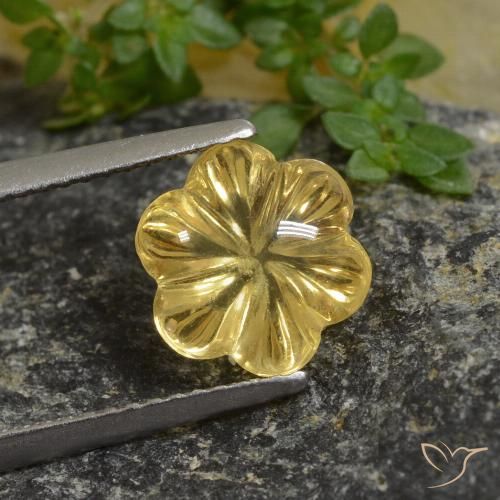 2.64ct Natural Mel amarelo Citrino, Flor cortada, Transparente