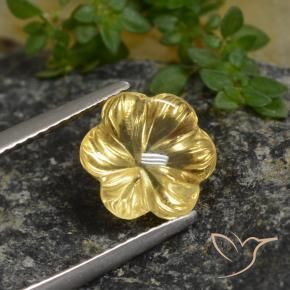 Citrino Mel amarelo Natural 2.64ct, Flor cortada, Transparente