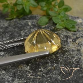 Citrino Mel amarelo Natural 2.64ct, Flor cortada, Transparente