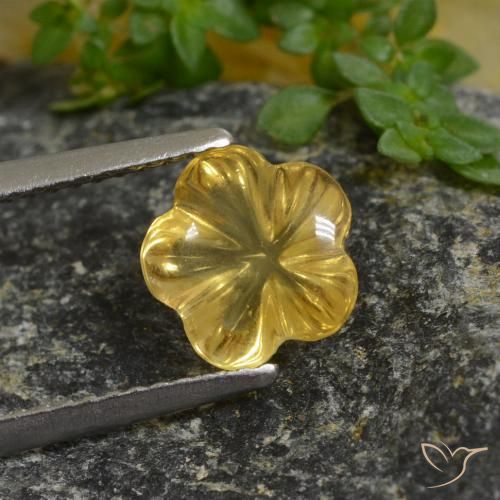 1.67ct Natural Amarelo escuro Citrino, Flor cortada, Transparente