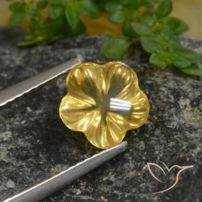 Citrino Amarelo escuro Natural 1.67ct, Flor cortada, Transparente