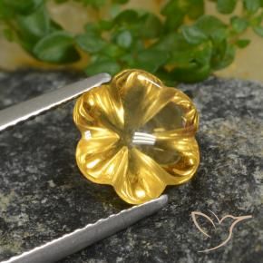 Citrino Amarelo escuro Natural 2.20ct, Flor cortada, Transparente