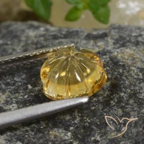 Citrino ouro profundo Natural 1.99ct, Flor cortada, Transparente