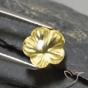 Citrino Amarelo Toscana Natural 2.30ct, Flor cortada, Transparente