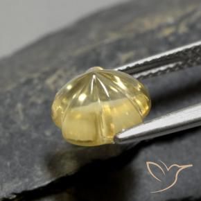 Citrino Amarelo Toscana Natural 2.30ct, Flor cortada, Transparente