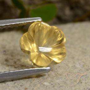 Citrino Luz Dourada Natural 2.23ct, Flor cortada, Transparente