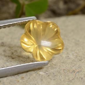 Citrino Mel amarelo Natural 1.76ct, Flor cortada, Transparente
