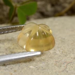 Citrino Mel amarelo Natural 1.76ct, Flor cortada, Transparente