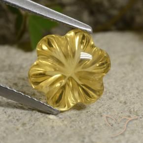 Citrino Amarelo escuro Natural 3.48ct, Flor cortada, Transparente