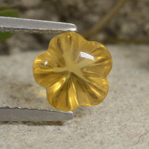 1.61ct Natural Mel amarelo Citrino, Flor cortada, Transparente