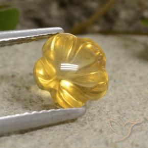 Citrino Mel amarelo Natural 1.61ct, Flor cortada, Transparente